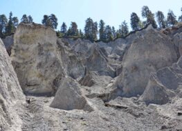 012 - blick nach oben